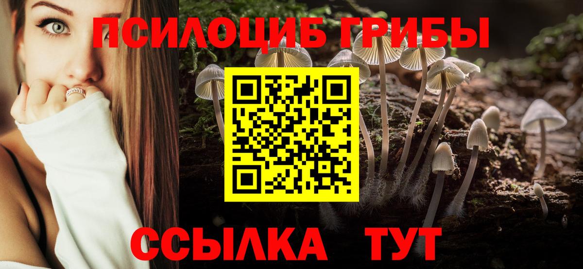 Галлюциногенные грибы прущие грибы  Псилоцибиновые грибы ЛСД  Вход с VPN  Энгельс 